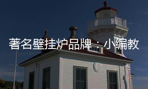 著名如果是壁挂编教铁的话