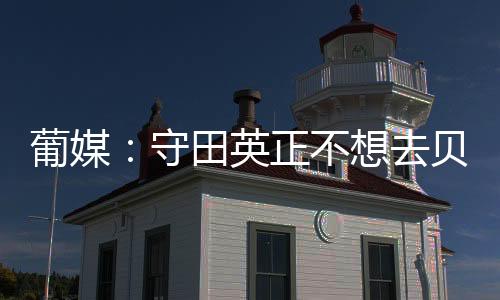 守田英正无意前往贝西克塔斯