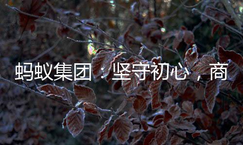 初心在隐私保卫方面