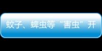 蚊子、蜱虫等“害虫”开始活跃，这份防虫全攻略请收好