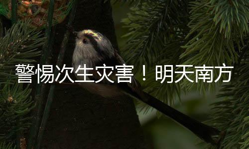 警惕武汉多处街道出现积水