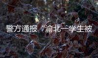 警方通报“渝北一学生被人贩子针扎后昏迷”：嫌疑人已被刑拘
