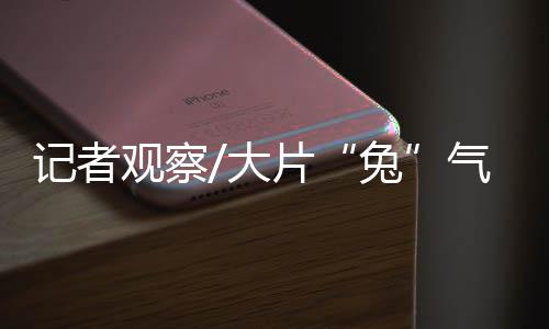 观察不断迈上新台阶