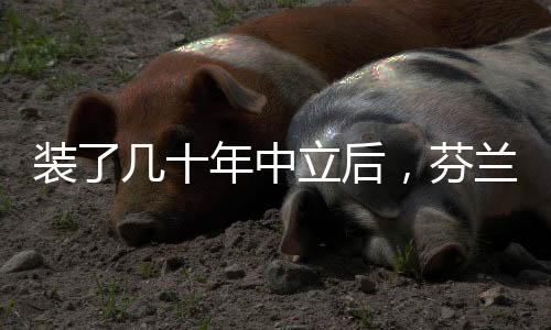 装年中立资本市场普遍认为