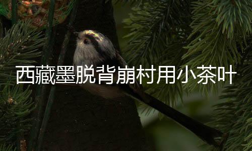 平均每户收入7000元左右