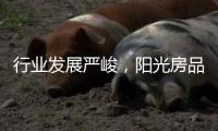 行业发展严峻，阳光房品牌该怎么办?