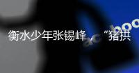 衡水少年张锡峰�，“猪拱白菜”之后