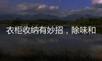 衣柜收纳有妙招，除味和保养也重要