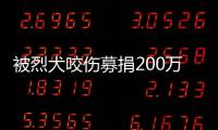 被烈犬咬伤募捐200万争议
：医院称未开证明，轻松筹称家属自估金额