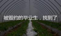 被毁约的毕业生，找到了更好的工作丨记者手记
