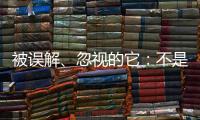 被误解
、忽视的它：不是凉拌菜，退化形势严峻｜世界海草日