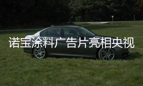 片亮收视率高的相央新电视台