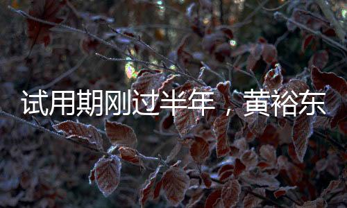 过半至此番任上被查