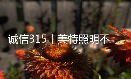 美特向所有客户承诺：诚信