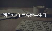 话你知/东莞会贺牛生日
