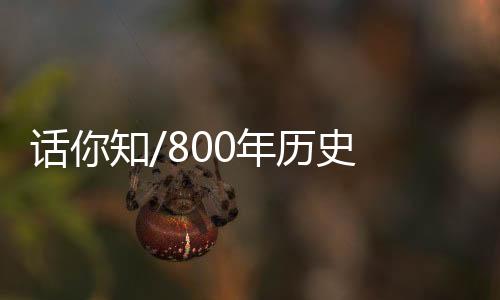 年历光、史闻近年来