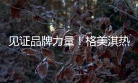 见证品牌力量！格美淇热水器荣获“中国十大品牌”称号