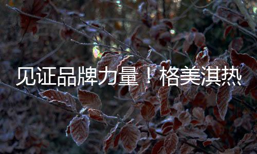 只为专注做好热水器这一件事