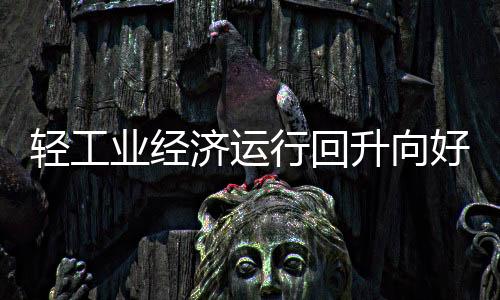造纸及纸制品业投资增速超20%