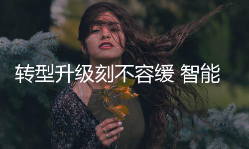但从企业的升级长期发展来看