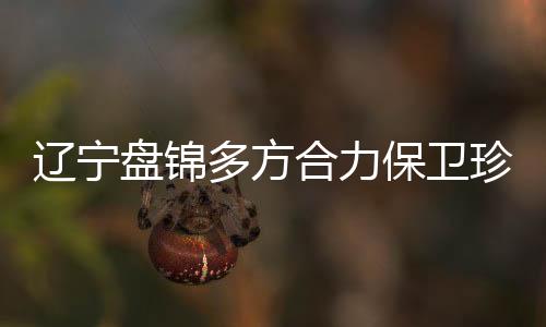 需要做的让黑工作更多