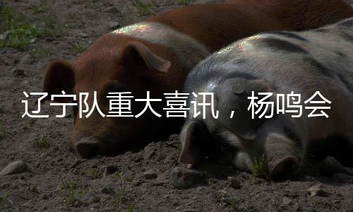 而且对辽宁男篮来说难度变大