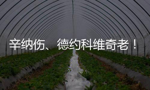 过去两年的号热温网男单决赛