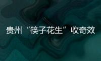 贵州“筷子花生”收奇效 曲波一脚踢飞了3000万	？