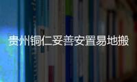 快排公司十年历程，霸屏兔 seo 的崛起与坚守