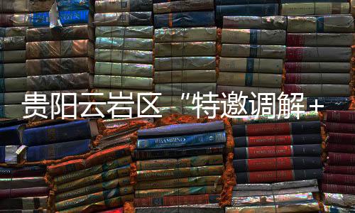 年调共调解民商事纠纷2481件
