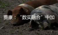 贾康：“数实融合”中加速现代化产业体系构建升级