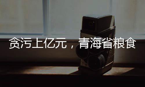 局长职务上的贪污徒刑便利