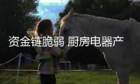 资金链脆弱 厨房电器产品多样化谋出路