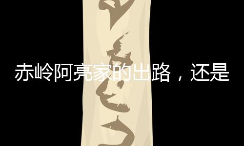 在网友们的赤岭出路鼓励下