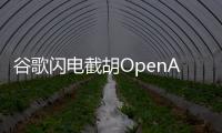 谷歌闪电截胡OpenAI，挖走这家公司CEO与核心大脑