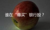 谁在“爆买”银行股�？