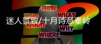 迷人景致/十月诗意秦岭 金秋惹游人醉