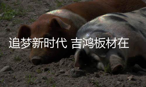 媒体聚焦板材荣誉榜