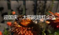迎国庆，太阳能路灯企业忙业绩同时要保证品质