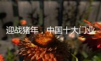 迎战猪年，中国十大门业品牌深耕精众圈子