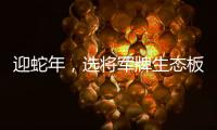 迎蛇年
，选将军牌生态板
，共筑健康环保家居梦