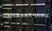 近期雨雪冰冻天气对农业生产和“菜篮子”产品供应有什么影响？农业农村部有关司局负责人答记者问