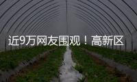 近9万网友围观
�！高新区这场自然与文明的“云约会”太赞了