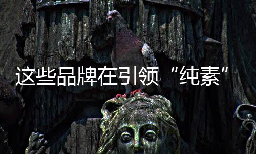 与普通款的品牌售价基本持平