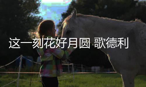 放下了一身的圆歌邀共疲惫