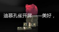 迪慕孔雀开屏——美好，幸福，只此一灯，便是万年!