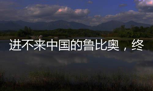 场边长面表面看是鲁比奥发难