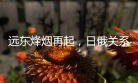 远东烽烟再起	，日俄关系为何再度紧张
？丨智库视点