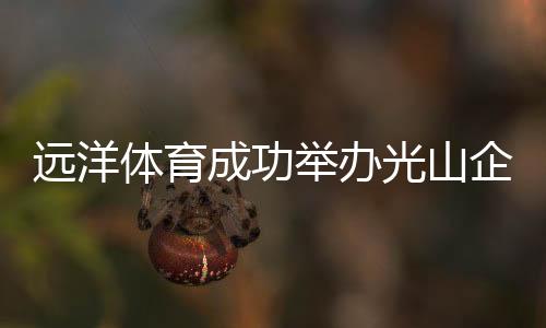 线上线下相结合的销售模式