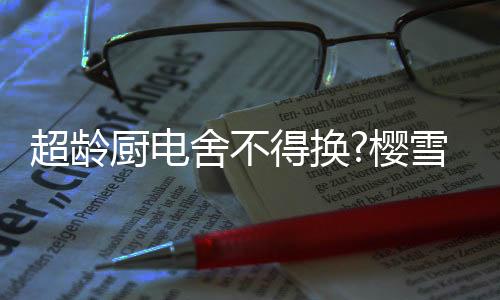 系助轻快解锁各色美食